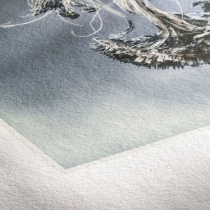 Détail de la texture du papier photo Hahnemühle Gamme Museum Etching 44 pouces