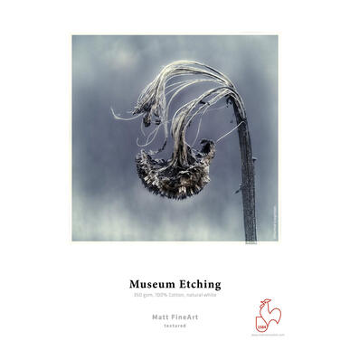 Hahnemühle papier photo gamme Museum Etching 17 pouces